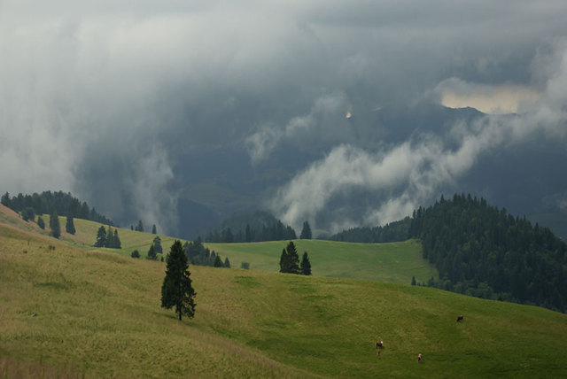 Pieniny