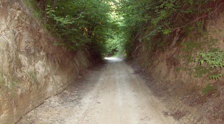 Wąwóz lessowy – Susiec, Polska