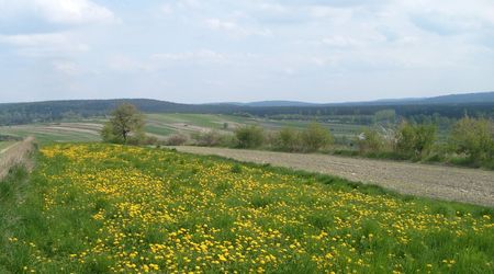 Krajobraz – Susiec, Polska