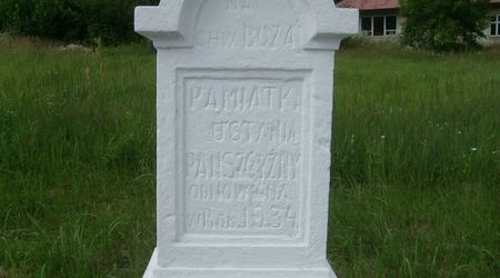 Historia – Susiec, Polska