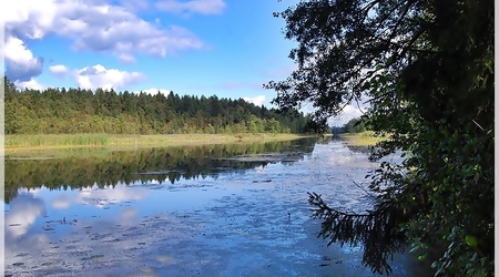 Jezioro  Gorczyckie – Augustów, Polska