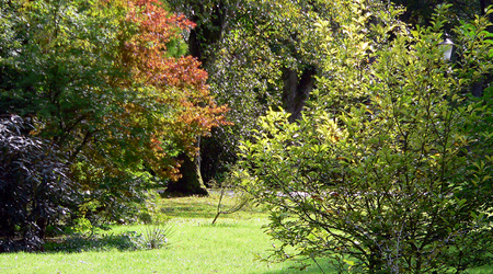 P1420516 – Połczyn zdrój, Polska