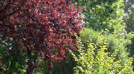 P1420523 – Połczyn zdrój, Polska