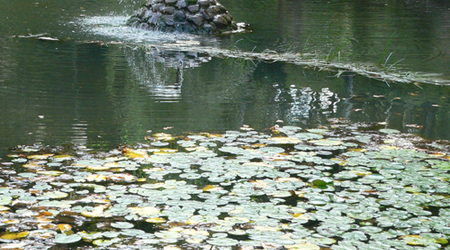 P1420547 – Połczyn zdrój, Polska