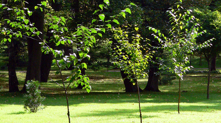 P1420657 – Połczyn zdrój, Polska