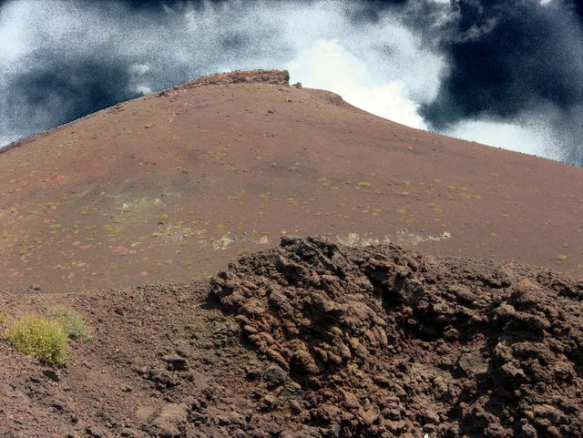 Img 5504