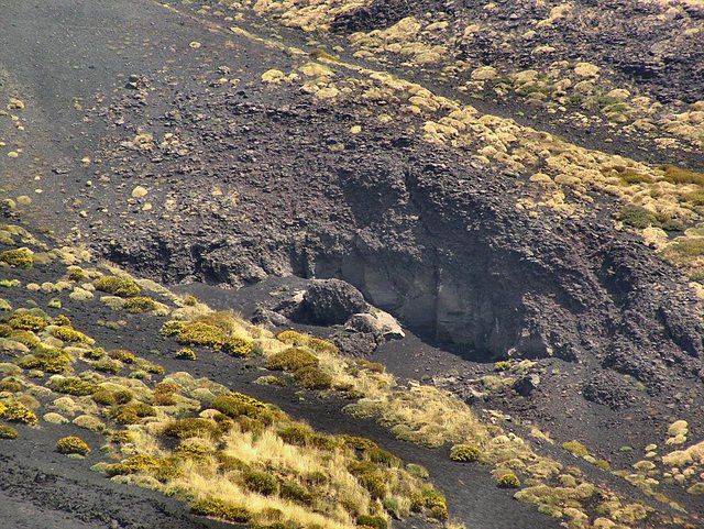 Img 5520