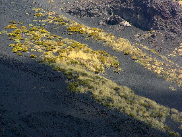 Img 5530