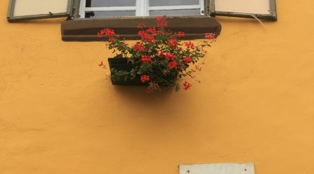 Sighișoara – Sighisoara, Rumunia