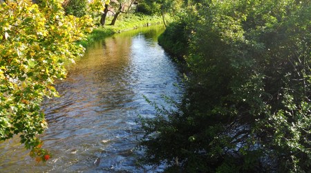 17 – Świdwin, Polska