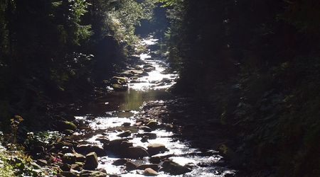 Poranek w Czarne - szlak niebieski na Baranią Górę – Barania góra, Polska