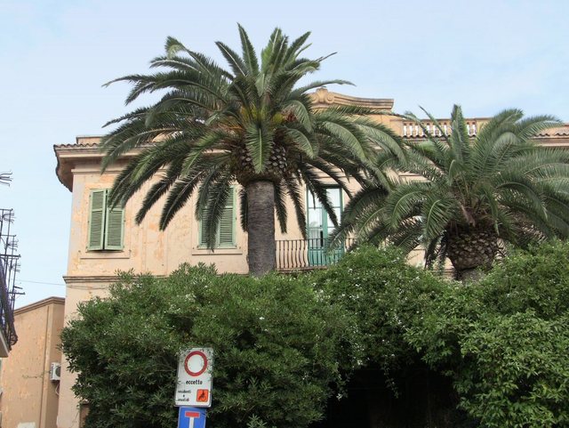 Taormina 2011