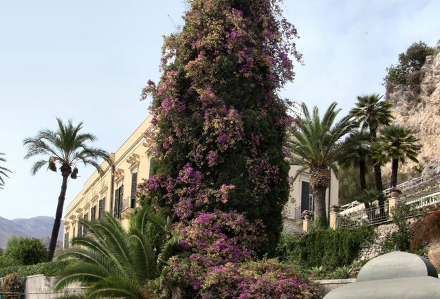 Taormina 2011