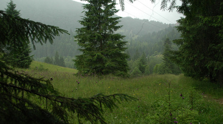 Wycieczka ku Wąwozowi Bikaz, Transylwania – Bicaz-chei, Rumunia