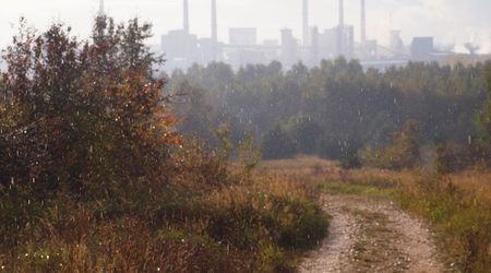 Jesienny krajobraz - pada deszcz – Olsztyn k/częstochowy, Polska