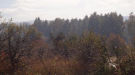 Jesienny krajobraz - pada deszcz – Olsztyn k/częstochowy, Polska