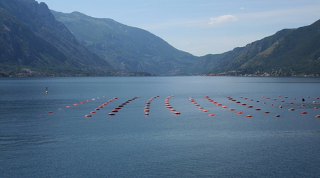 Boka Kotorska – Czarnogóra