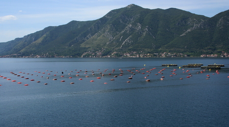 Boka Kotorska – Czarnogóra