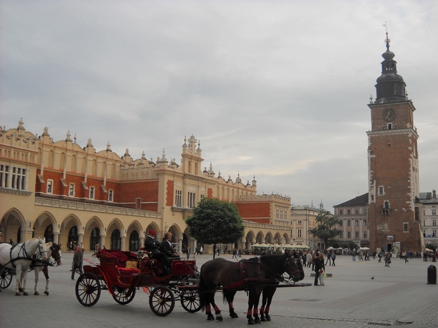 Rynek