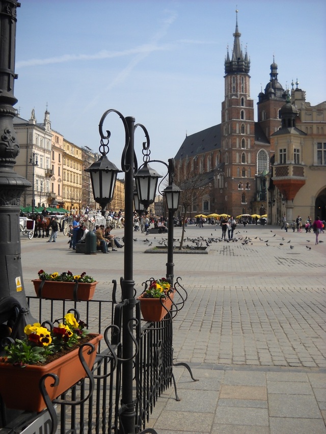 Rynek