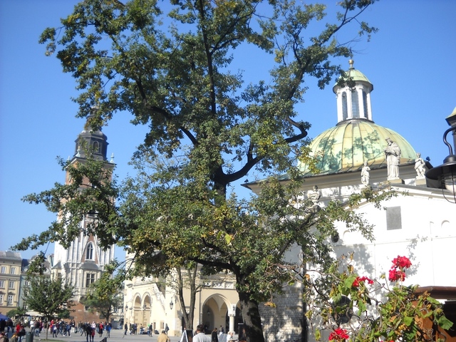 Rynek
