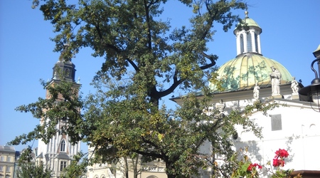 Rynek – Kraków, Polska
