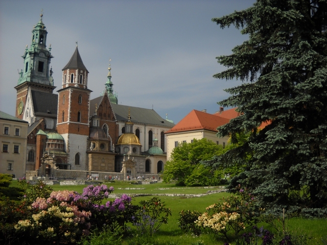 Widok na katedrę