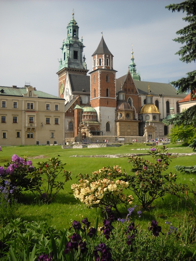 Widok na katedrę
