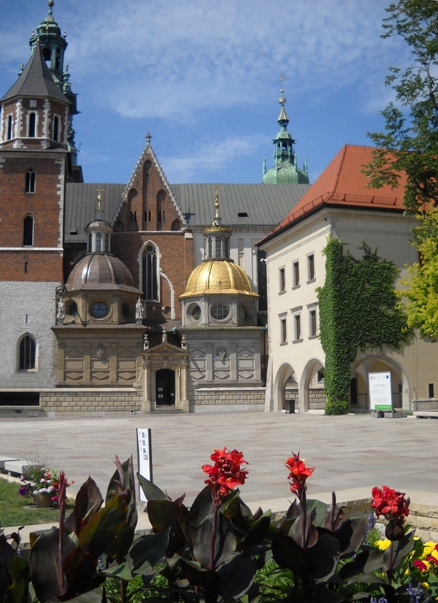 Widok na katedrę