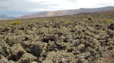 Tabaia dulce – Lanzarote, Hiszpania