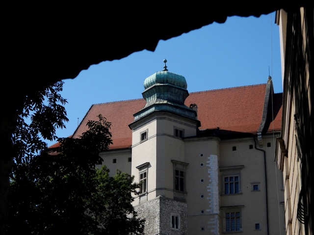 Widok na Wawel