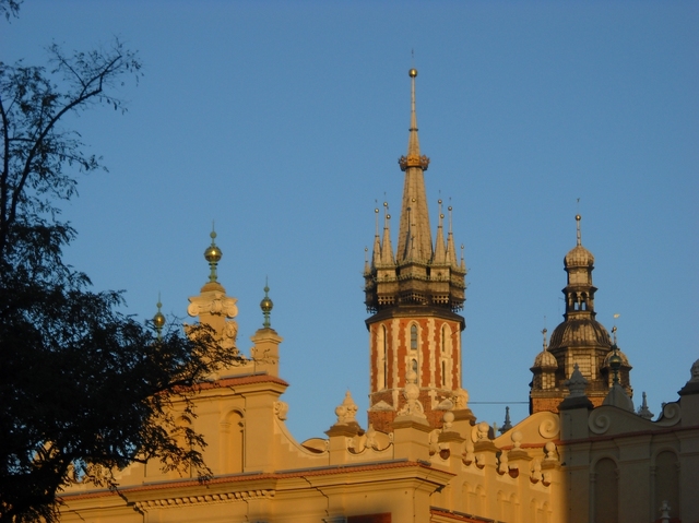 Rynek