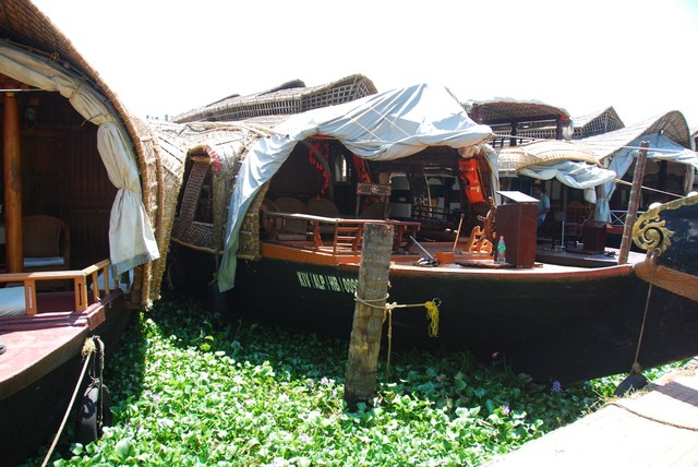 Alappuzha, Backwathers