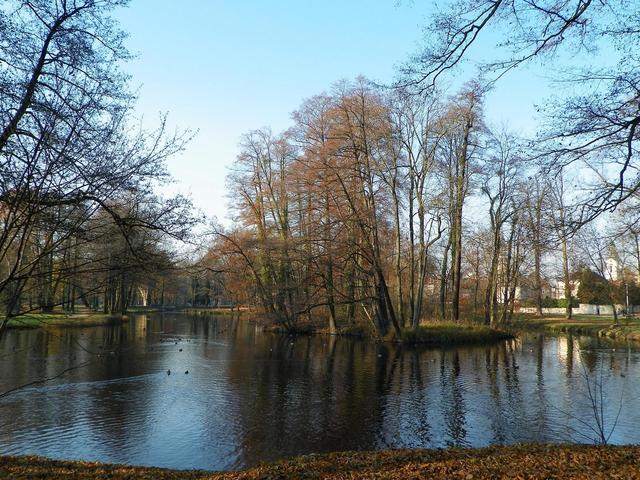 Strzelce Opolskie, Duży Park
