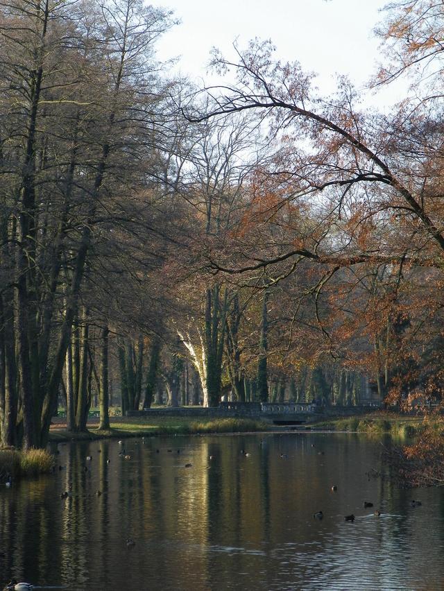 Strzelce Opolskie, Duży Park