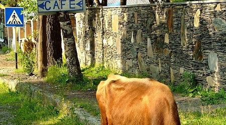 Stepancminda – Kazbegi, Gruzja