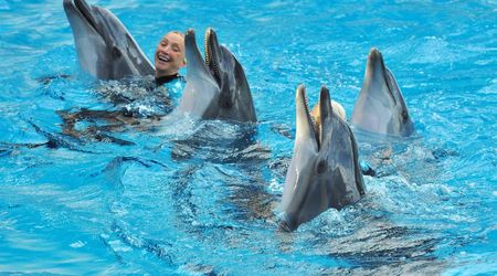Delfinarium w KOKTEBEL/ KRYM – Ukraina