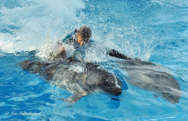 Delfinarium w KOKTEBEL/ KRYM