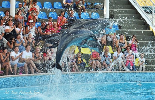Delfinarium w KOKTEBEL/ KRYM