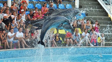 Delfinarium w KOKTEBEL/ KRYM – Ukraina