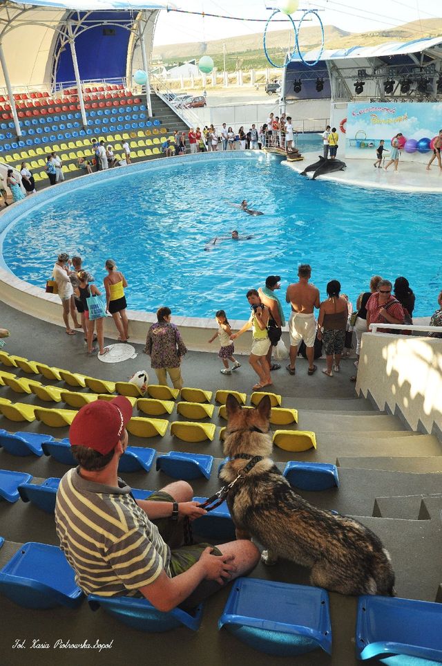 Delfinarium w KOKTEBEL/ KRYM