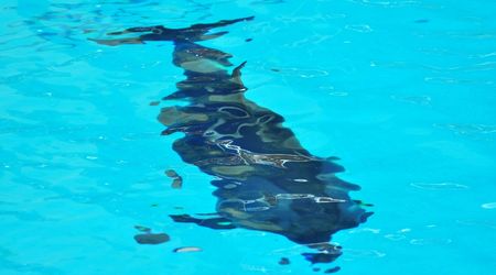 Delfinarium w KOKTEBEL/ KRYM – Ukraina