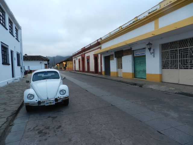 Garbus