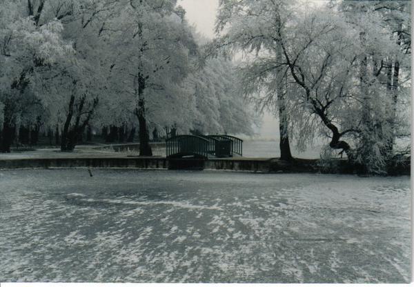 Szczecinek5