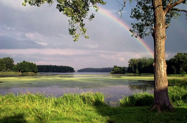 szczecinek