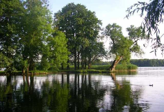 Jezioro trzesiecko szczecinek  9 