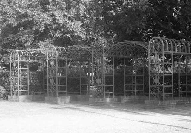 Park szczecinek