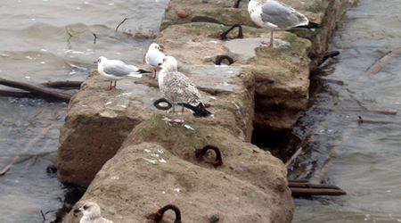 Dsc06906 – Kołobrzeg, Polska