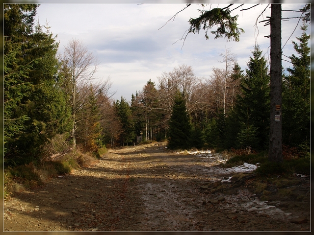 blatnia