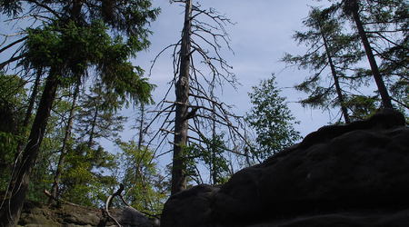 Błędne Skały – Góry Stołowe, Polska